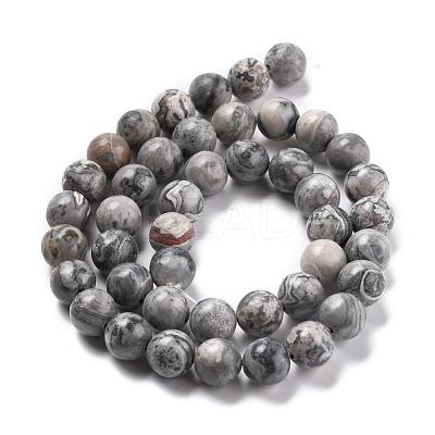 Natural Map Stone/Picasso Stone/Picasso Jasper Bead Strands G-D840-60-8mm-1