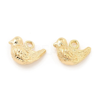 Brass Charms KK-G447-12G-1