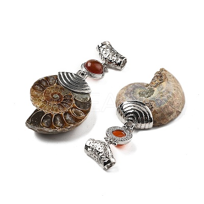 Natural Carnelian Fossil Snail Pendants G-F062-15-1