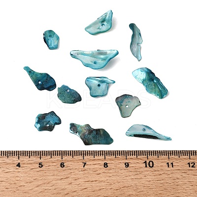 Dyed Natural Mother of Pearl Shell Nuggets Chips Beads BSHE-O007-10A-1