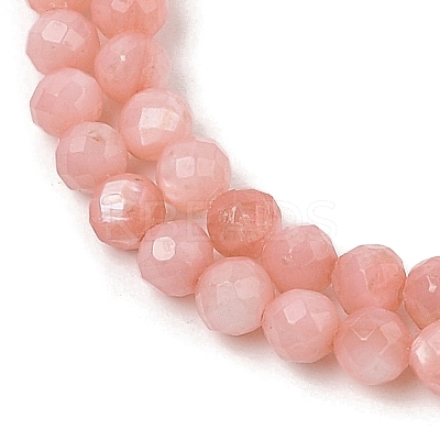 Natural Freshwater Shell Dyed Beads Strands SHEL-R100-12A-03-1