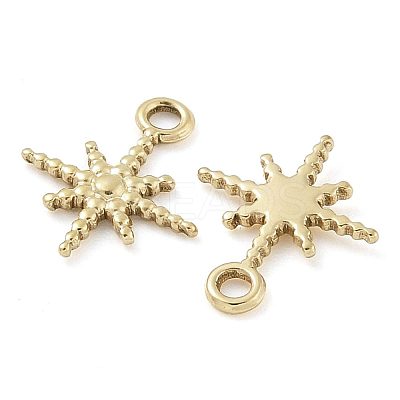 Ion Plating(IP) 304 Stainless Steel Charms STAS-U032-14G-1