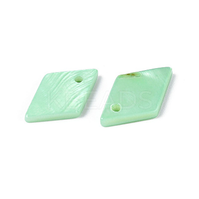 Spray Painted Natural Freshwater Shell Pendants BSHE-T014-07D-1