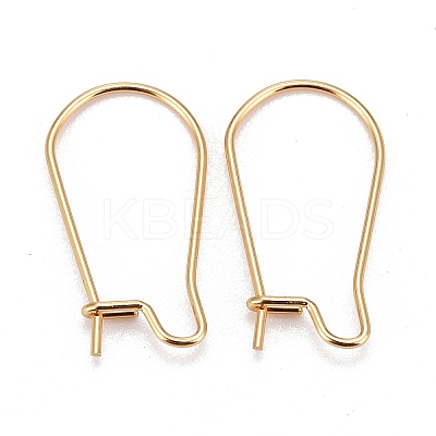 316 Surgical Stainless Steel Hoop Earring Findings X-STAS-A056-12G-C-1