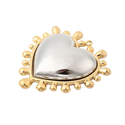 304 Stainless Steel Big Pendants STAS-H250-01GP-02-1