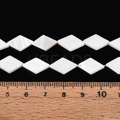 Natural Freshwater Shell Beads Strands SHEL-T020-13H-1