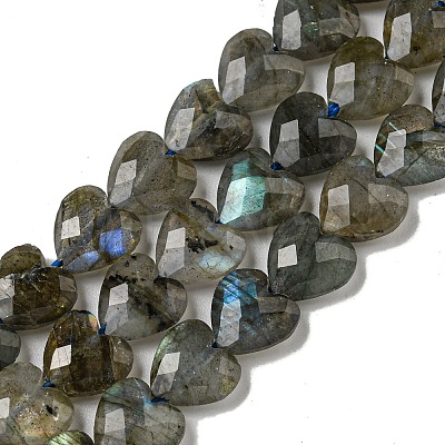 Natural Labradorite Beads Strands G-P544-E01-01-1