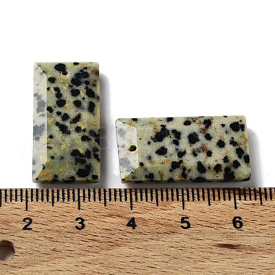 Natural Dalmatian Jasper Pendants G-G063-01E-1