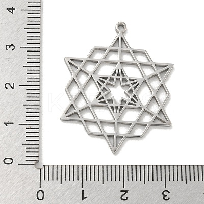 304 Stainless Steel Pendants STAS-M067-09P-1