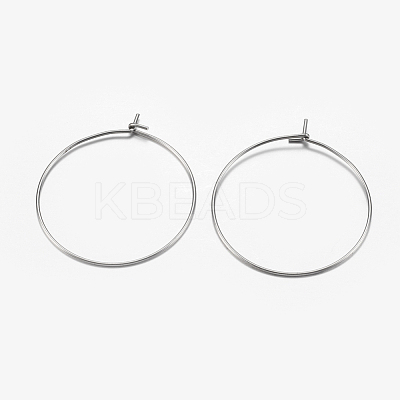 316 Surgical Stainless Steel Hoop Earrings Findings STAS-I097-050A-1