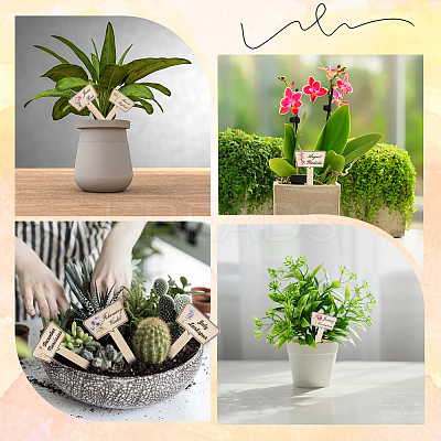 2 Bags Wooden Plant Labels DIY-CP0012-70-1