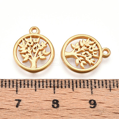 304 Stainless Steel Charms STAS-N109-90G-1