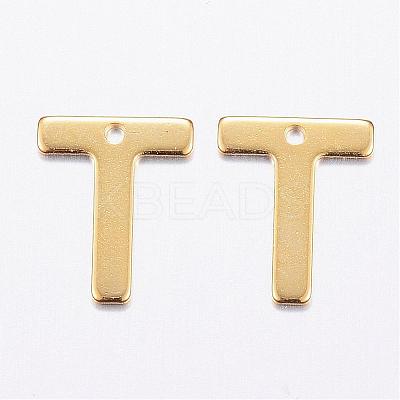 304 Stainless Steel Charms STAS-P141-T-1