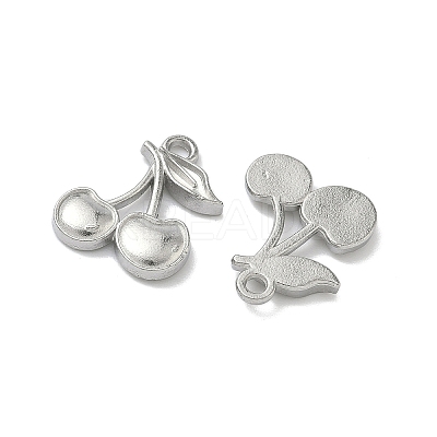 304 Stainless Steel Pendants STAS-Z176-01P-01-1