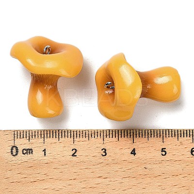 3D Opaque Resin Pendants RESI-G111-02-1