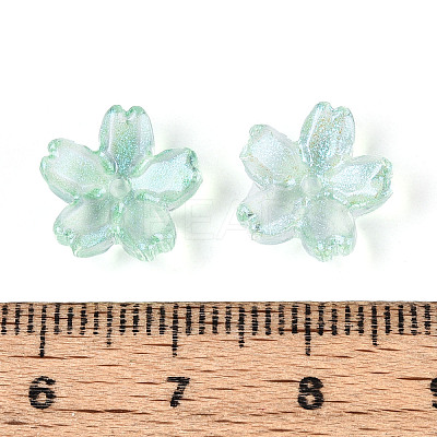 Baking Paint Transparent Glass Bead Caps DGLA-N014-06A-04-1