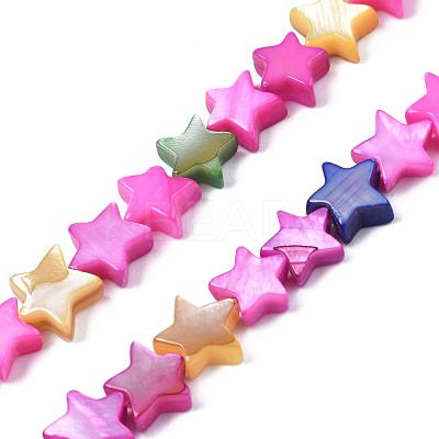 Natural Freshwater Shell Beads Strands SHEL-S278-022C-1