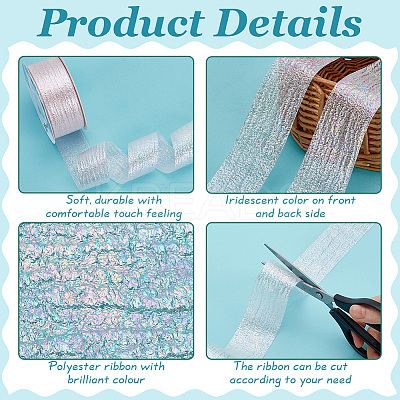 18M Iridescent Polyester Ribbon OCOR-WH0097-10B-1