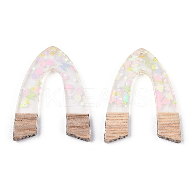 Transparent Resin & White Wood Pendants RESI-N039-32-1