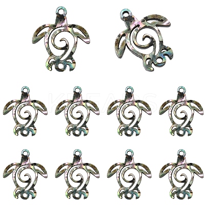 10Pcs Natural Paua Shell Connector Charms SHEL-YW0001-16-1