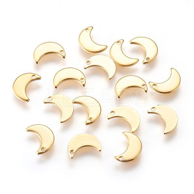 304 Stainless Steel Charms STAS-E447-08G-1