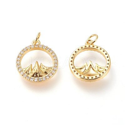Brass Micro Pave Clear Cubic Zirconia Charms ZIRC-L098-025G-1