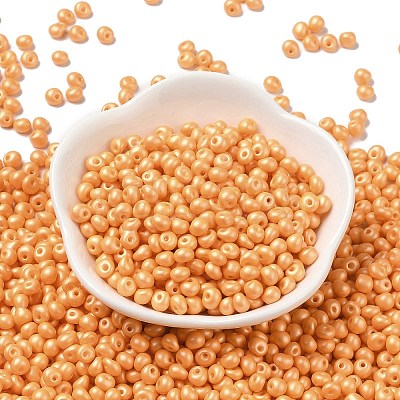 6/0 Glass Seed Beads X1-SEED-L011-08A-19-1