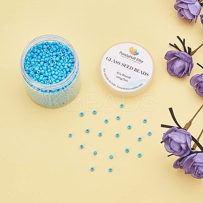 8/0 Round Glass Seed Beads SEED-PH0005-05-1