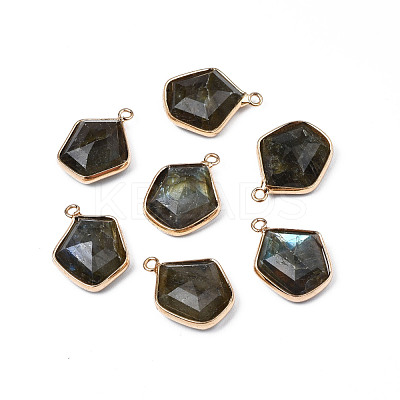 Natural Labradorite Pendants G-S359-381-1
