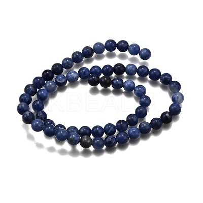 Natural Sodalite Round Bead Strands G-P072-27-8mm-1