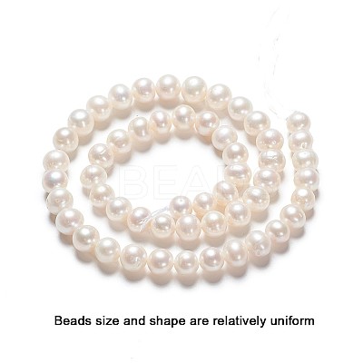 Natural Cultured Freshwater Pearl Beads Strands PEAR-R063-16-1