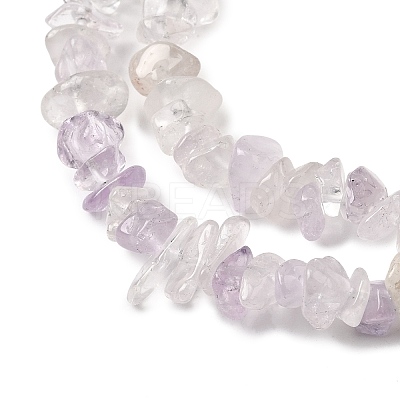 Natural Amethyst Beads Strands G-H315-A04-01-1
