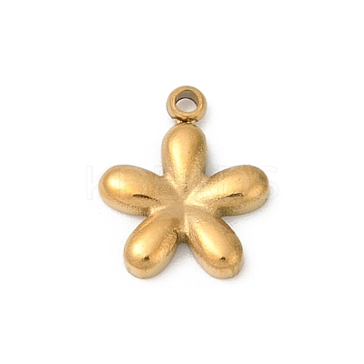 304 Stainless Steel Pendants STAS-L283-25G-01-1