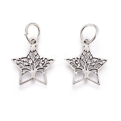 Tibetan Style Alloy Pendants X-PALLOY-F224-02AS-07-1