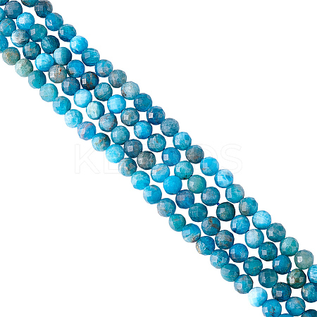 2 Strands Natural Apatite Beads Strands G-HY0001-94-1