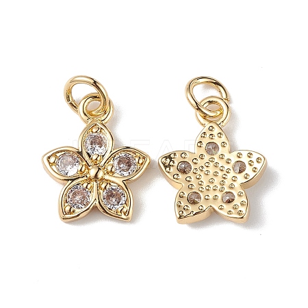 Rack Plating Brass Micro Pave Cubic Zirconia Charms KK-F848-13G-1
