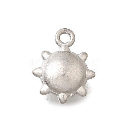 304 Stainless Steel Charms LS-STAS-D310-06P-01-1