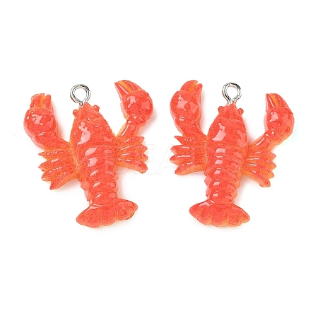 Resin Pendants RESI-F060-01A-1