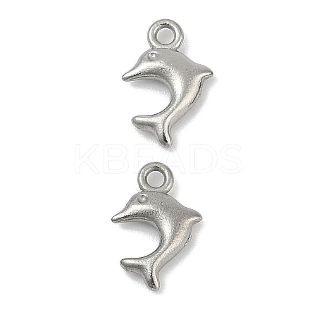 304 Stainless Steel Charms STAS-E500-13P-01-1