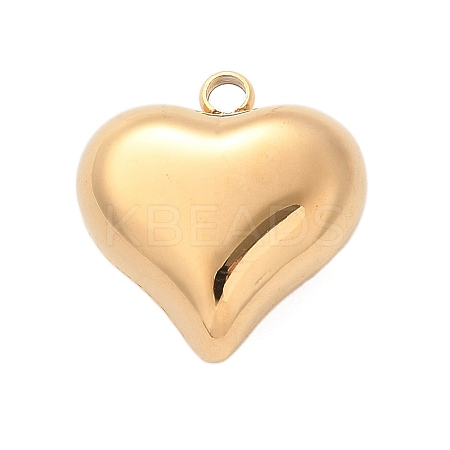 304 Stainless Steel Pendants STAS-Q349-02F-G-1