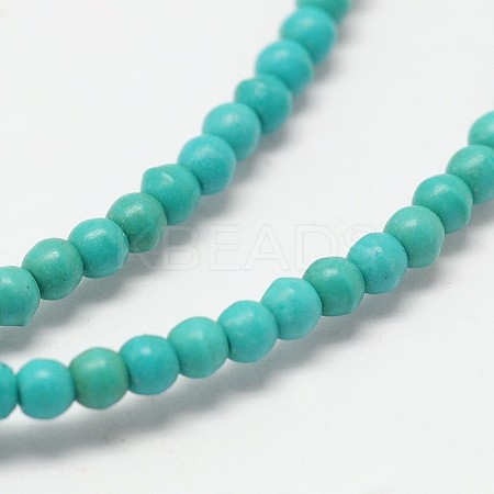 Dyed Synthetical Turquoise Round Bead Strand G-P083-3mm-92F-1