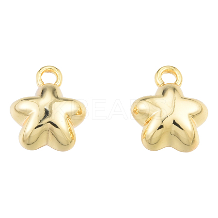 Brass Charms KK-N231-387-1