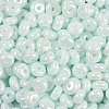 Opaque Colours Luster Glass Seed Beads SEED-P008-01C-04-2