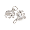 Brass Micro Pave Clear Cubic Zirconia Charms KK-H292-56B-P-2