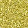 Cylinder Seed Beads SEED-H001-G15-4