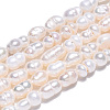 Natural Cultured Freshwater Pearl Beads Strands X-PEAR-N012-04R-1