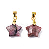 Natural Rhodonite Charms G-N326-142-05-1