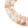 Natural Freshwater Shell Beads Strands SHEL-T011-02-6mm-3