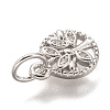 Brass Micro Pave Clear Cubic Zirconia Charms ZIRC-B002-66P-3