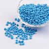 Opaque Glass Seed Beads SEED-R032-A12-1